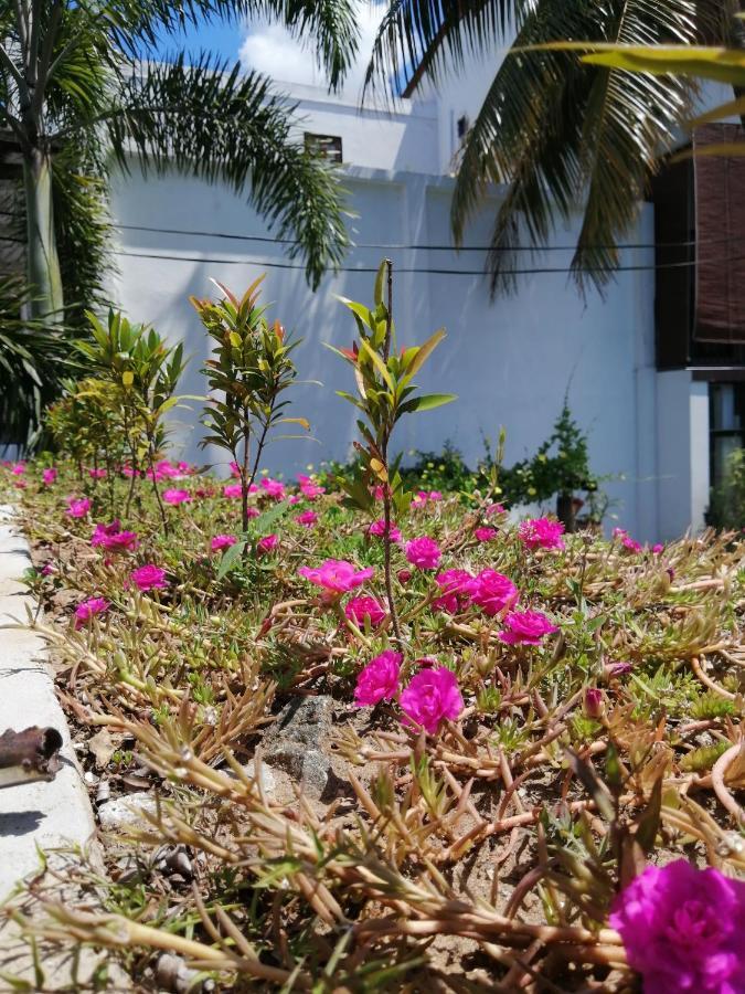 Apartmán Ibis Udawalawe Exteriér fotografie
