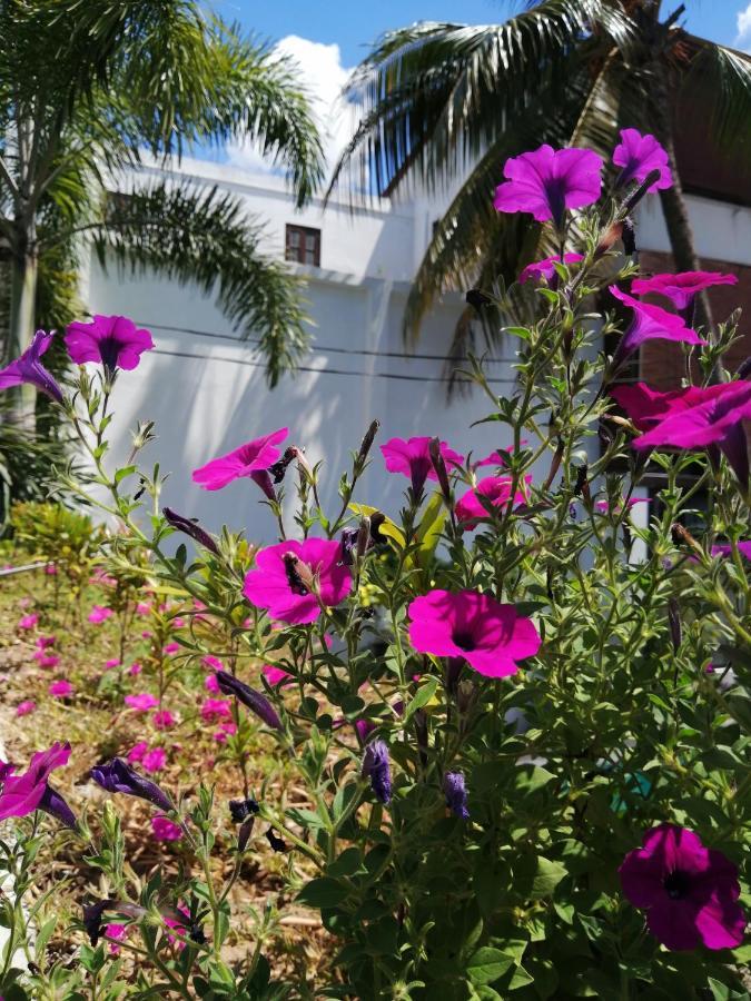 Apartmán Ibis Udawalawe Exteriér fotografie