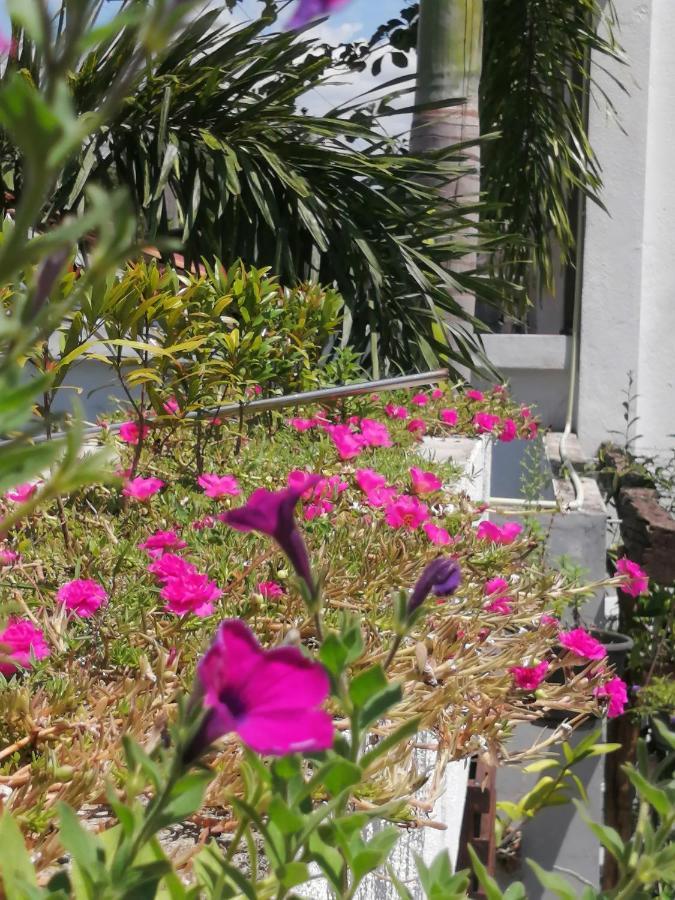 Apartmán Ibis Udawalawe Exteriér fotografie